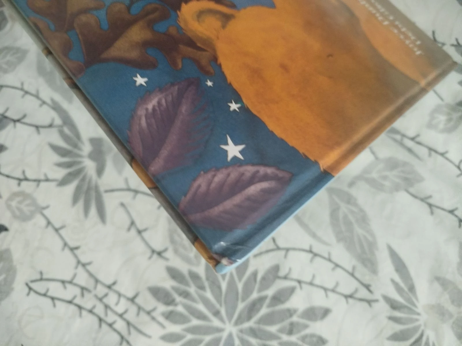 Livro Muito pequeno – photo 6